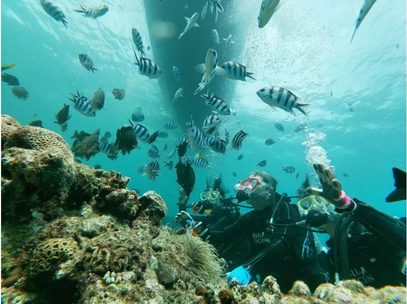 【沖縄/恩納村/2時間】専用ボートで行く☆青の洞窟体験ダイビング《GoProレンタル&写真データ無料》（No.174）