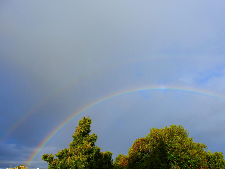 【2024年最新版】雨の日でも沖縄を満喫！悪天候でも楽しめる観光スポット＆アクティビティ特集