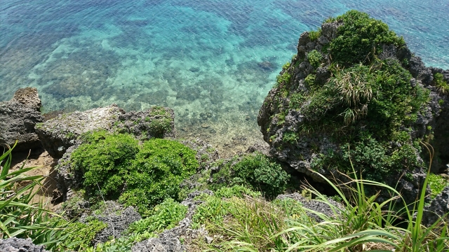 沖縄の人気の釣り体験！初心者や子供でも楽しめるポイントや沖縄で釣れる魚を解説