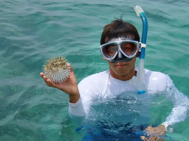 【沖縄本島/約1時間】時間がなくても海を満喫！シュノーケル＋バナナボートプラン☆5歳以下も浮き輪＆箱眼鏡で安心＜1組貸切・温水シャワー付・保険込み＞（No.817）