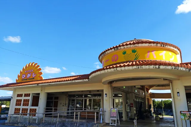 沖縄東村のパイン園観光スポット