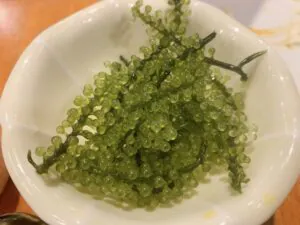 沖縄名物の海ぶどうを味わう旅の一品