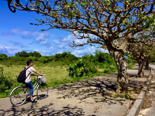 沖縄本島を自転車で満喫！レンタサイクルで巡るおすすめスポットをエリア別でご紹介！