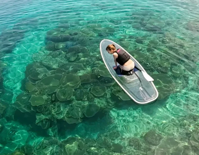 透明SUPから覗く沖縄のサンゴ礁