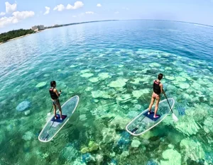 沖縄SUPツアーで海中の景色を観察