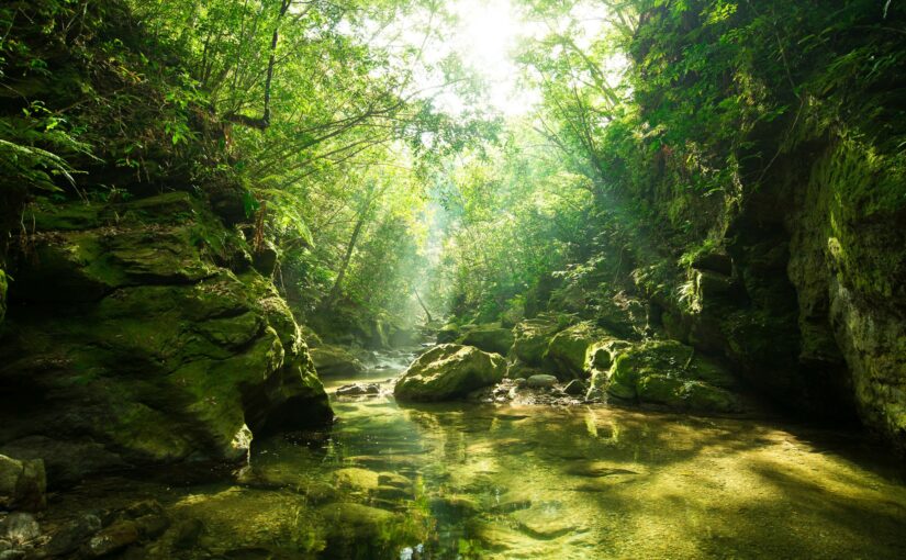 やんばるの秘境で癒される沖縄の自然風景