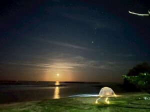 屋外マッサージ専門店 ボディーケア 海水フットバス