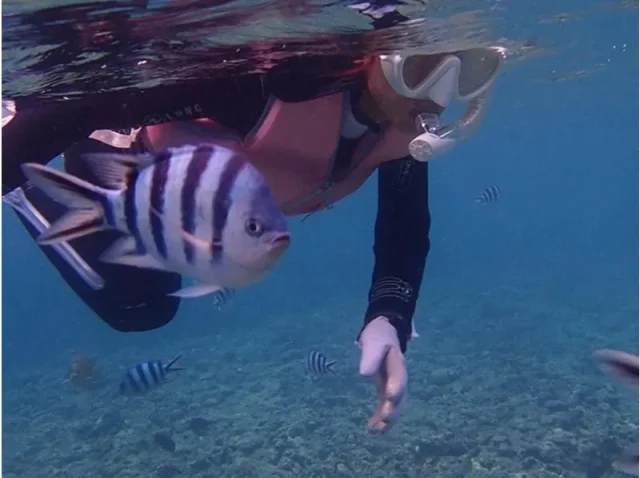 青の洞窟 シュノーケリング