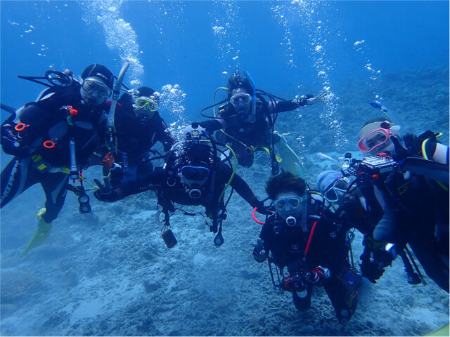古宇利島 エモンズ ダイビング