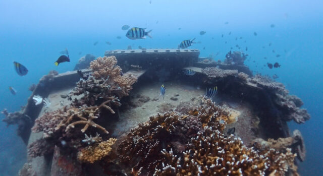 砂辺 宮城海岸 シュノーケリング