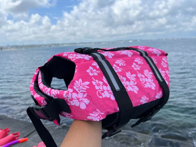 ペット ライフジャケット