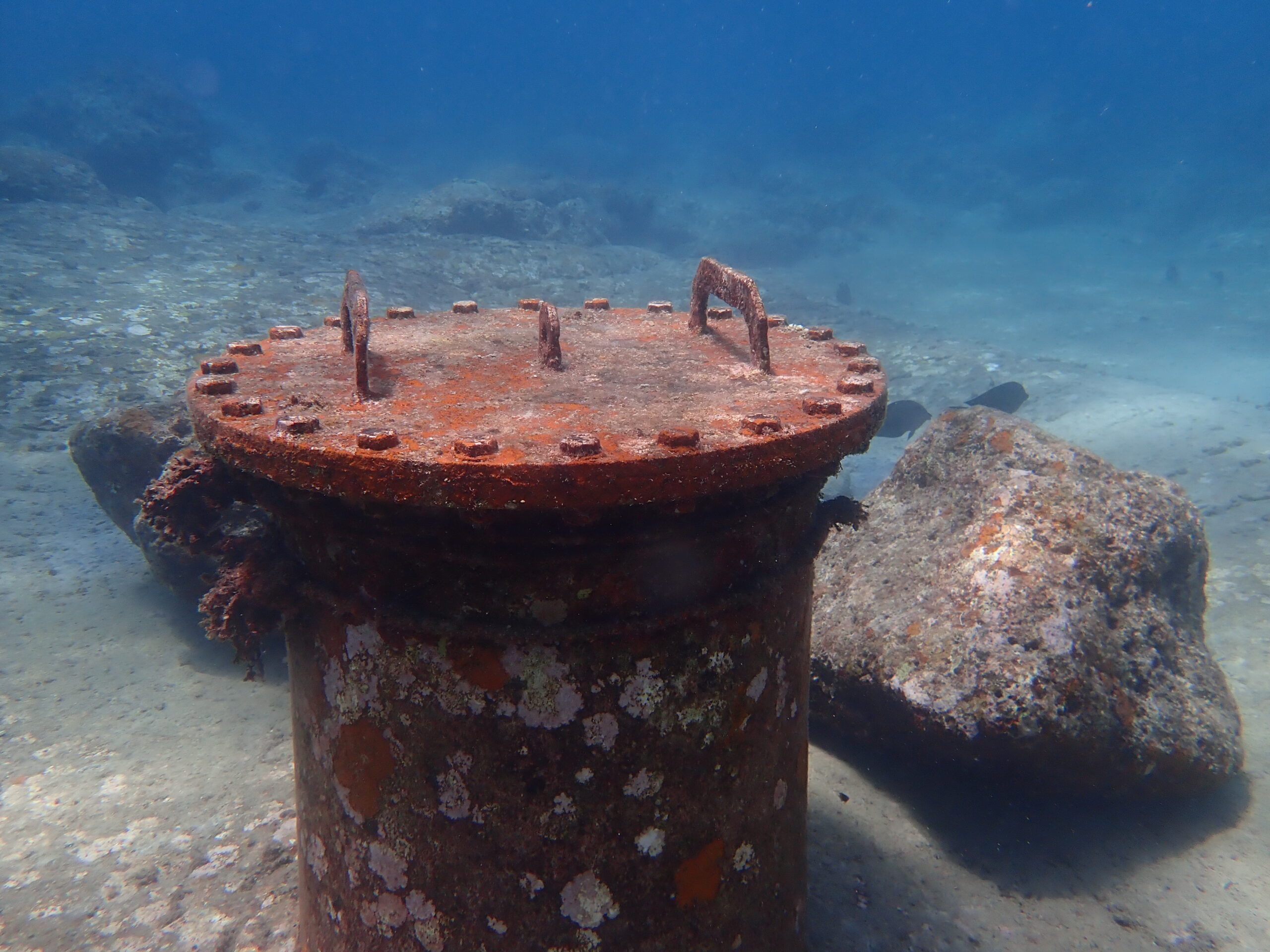 【沖縄中部・北谷町砂辺/約3時間】アメリカンビレッジすぐ近く♪宮城海岸でシュノーケリング《送迎無料・講習付き》（No.705）