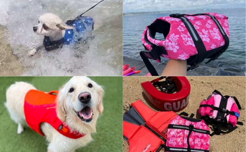 【沖縄南部・北部/約3時間】ペット無料☆愛犬と楽しむビーチシュノーケリング《ライフジャケット完備&写真・動画プレゼント》(No.701)