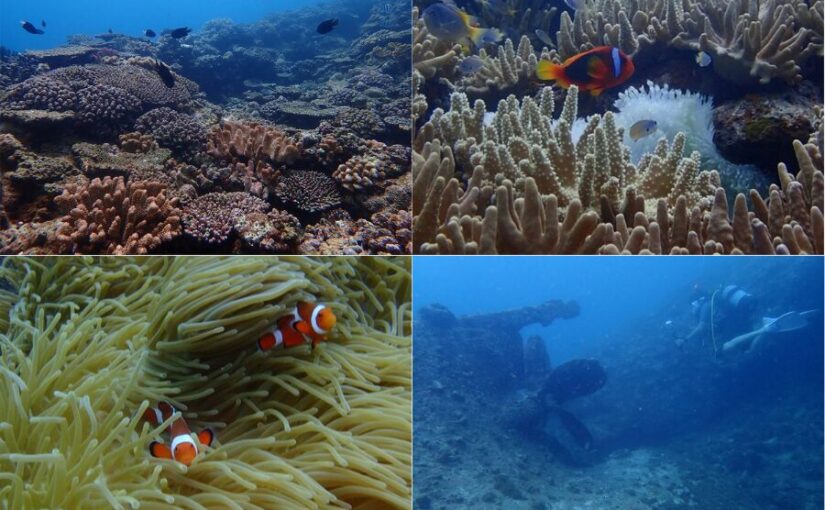 【沖縄本島・宜野湾】初心者安心♪少人数制のボートダイビングツアー★選べる1ダイブ/2ダイブ/3ダイブ/4ダイブ《無料送迎付き・おひとり様OK》（No.700）