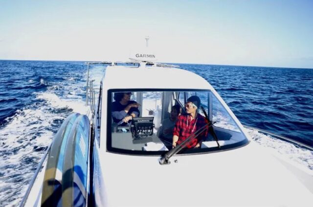 トロピカルフィッシング　ホエールウォッチング