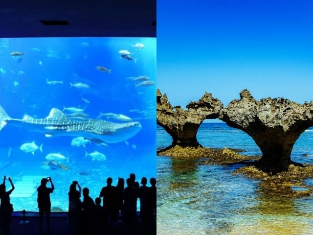 沖縄のドライブコース、ジンベエザメと恋のパワースポットを巡る旅。