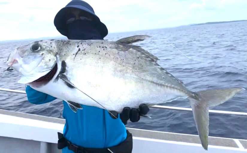 トローリング,釣り