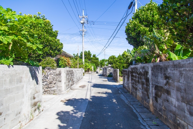 【沖縄/南部/1日】神の島『久高島』観光＋南城市道の駅＋絶景『知念岬』巡りツアー★ガイド付き《自由時間＆送迎あり》（No.195）