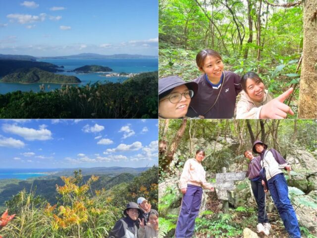 【やんばるウォーキング/約2.5時間】大宜味村最高峰『ネクマチヂ岳』トレッキングツアー☆世界遺産の森や美ら海を一望!登山初心者OK♪(No.237)