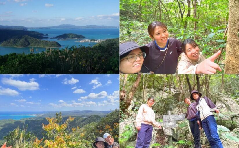 【やんばるウォーキング/約2.5時間】大宜味村最高峰『ネクマチヂ岳』トレッキングツアー☆世界遺産の森や美ら海を一望！登山初心者OK♪（No.237）