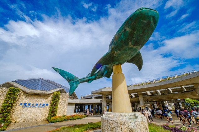 【沖縄・恩納村】今だけ特別プラン★美ら海水族館入館チケット付き！『青の洞窟』体験ダイビングツアー《写真プレゼント＆餌付け体験付き》（No.200）