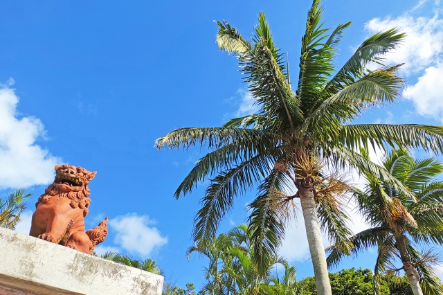 沖縄でのひとり旅の過ごし方とは？車なしでも楽しめるおすすめ観光スポットやバスツアーをご紹介！