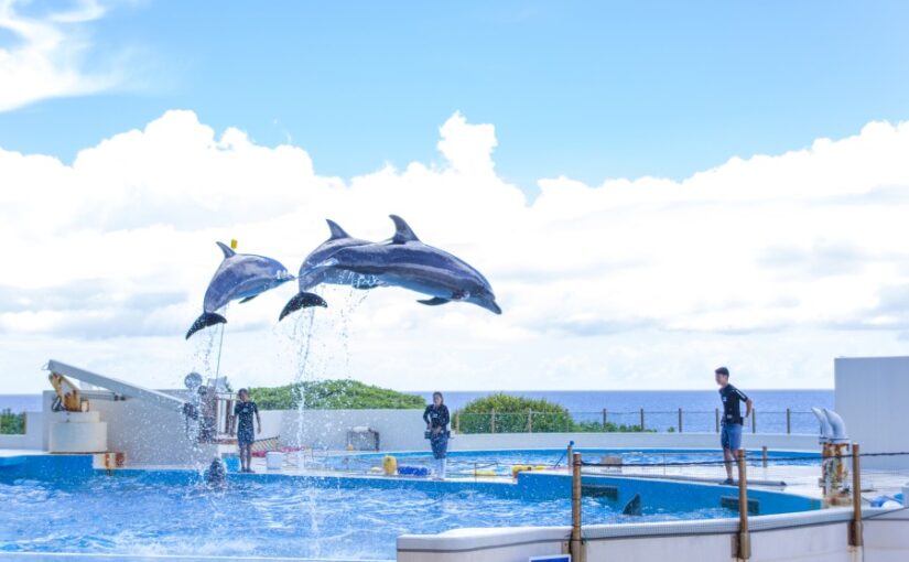 樱海水族馆