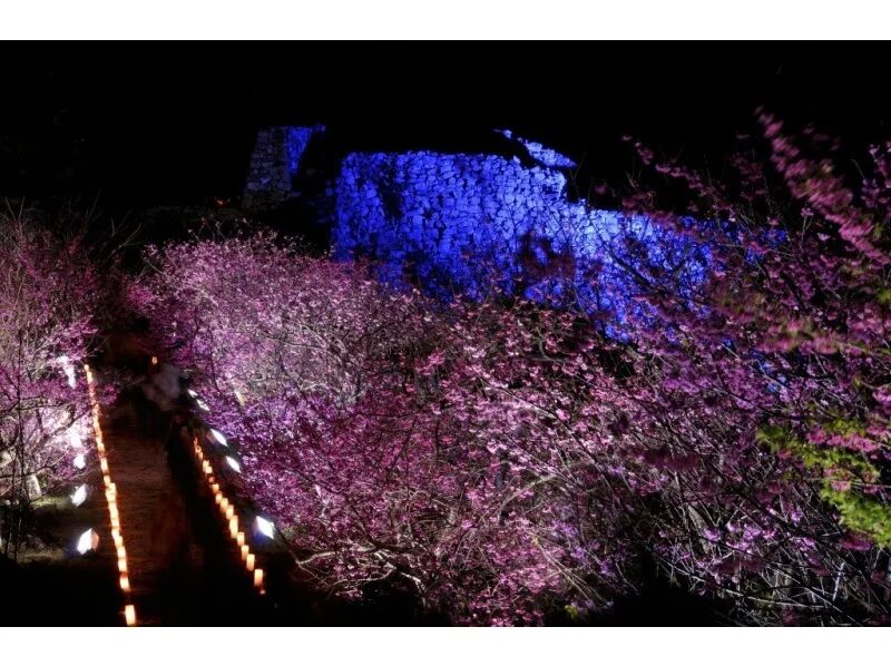 【沖縄・今帰仁城跡】ファミリー・カップル・友達で☆星空photoと宙さんぽナイトツアー《インスタ映え写真撮影付き》in今帰仁城跡（No.96）