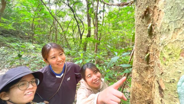 ネクマチヂ岳