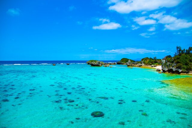 沖縄ツアーで観光地巡りを楽しむ