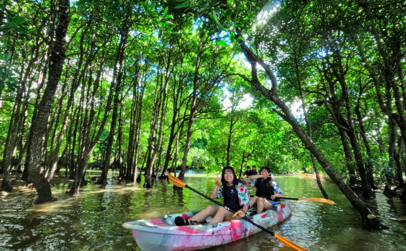 マングローブカッヤクツアーを沖縄で楽しむ2人