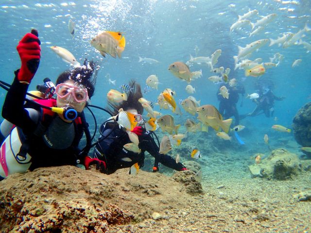 沖縄の海でダイビングを楽しむツアー客