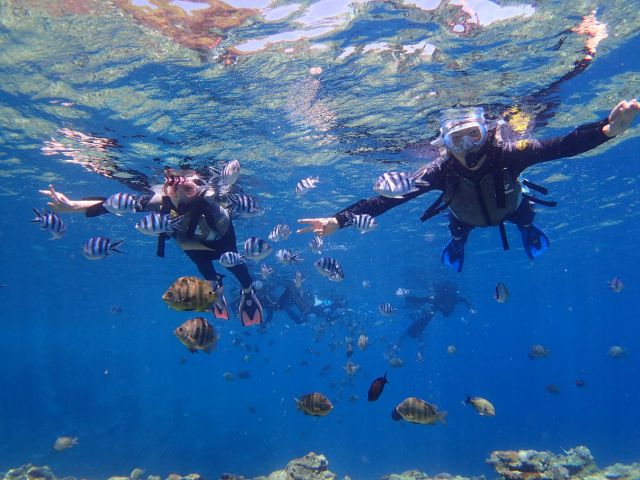 沖縄の海でシュノーケリングを楽しむツアー客