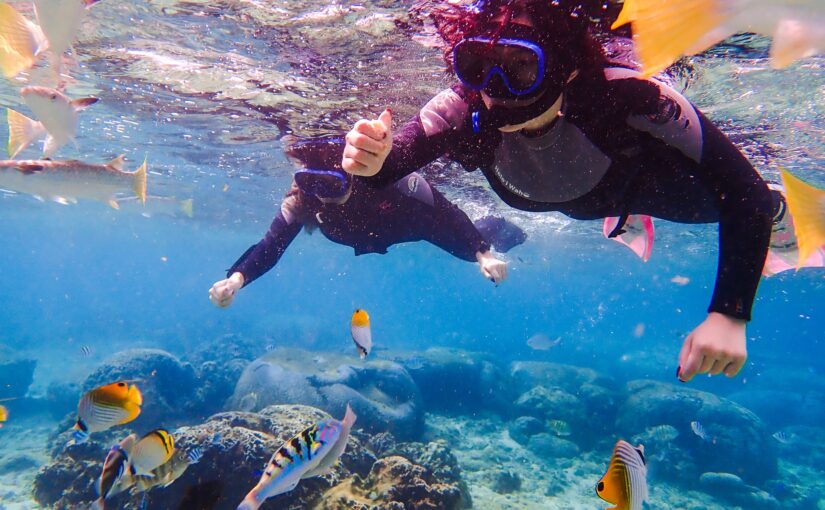 恩納村の海で熱帯魚と泳ぐシュノーケル