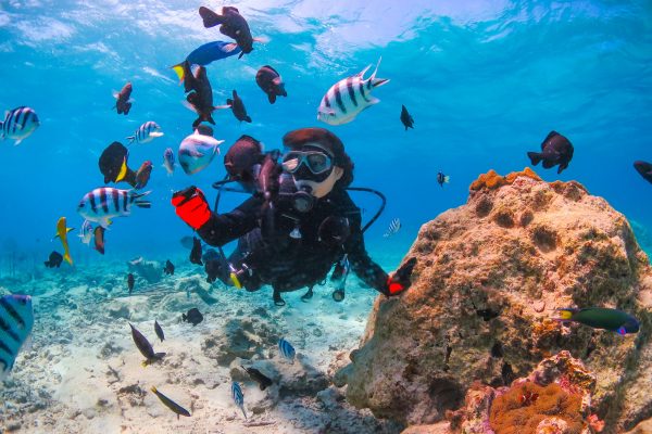 沖縄の海でシュノーケリング、魚たちと触れ合う
