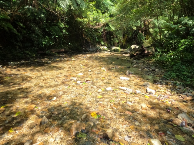 やんばるの秘境！沖縄北部・大宜味村の絶景「ター滝」完全ガイド