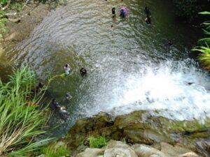 【沖縄/大宜味村/半日】5歳から参加OK◎沖縄の秘境ター滝リバートレッキング☆やんばるの森でスリル満点の大冒険♪＜ウェアレンタル＆写真データプレゼント＞