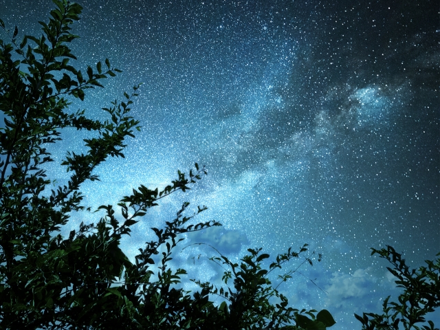 恩納村の夜空を埋め尽くすような青白く輝く鮮やかな天の川