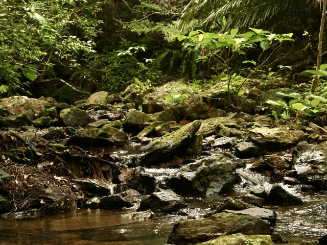 やんばるの秘境！沖縄北部・大宜味村の絶景「ター滝」完全ガイド