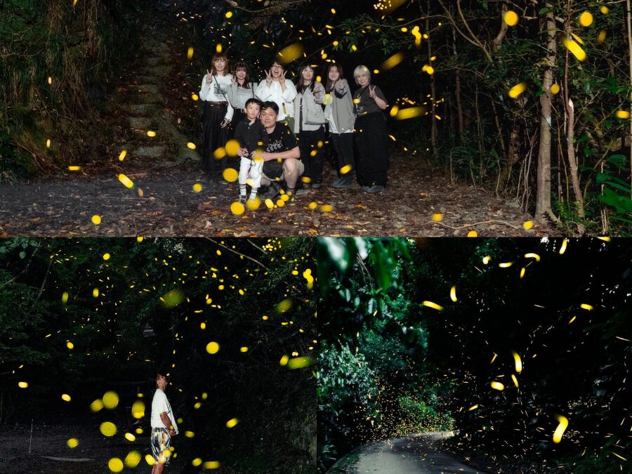 【沖縄北部/夜】5月中旬～7月中旬限定！やんばる世界自然遺産の森『ホタルナイトツアー』イルミネーションならぬホタミネーション♪《写真撮影付き》　（No.741）