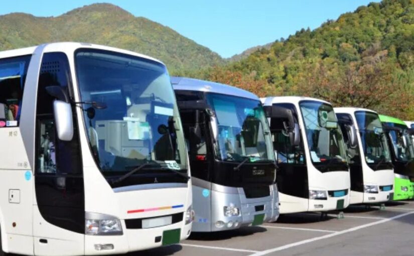 沖縄　バスツアー　美ら海水族館　ツアー　半日