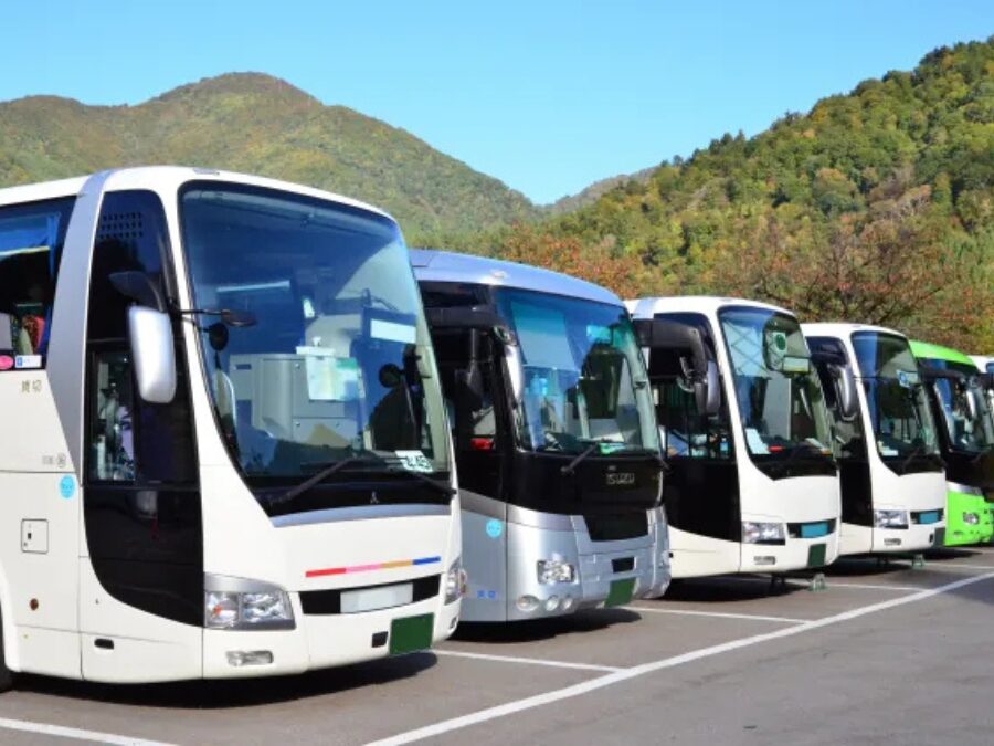 沖縄　バスツアー　美ら海水族館　ツアー　半日
