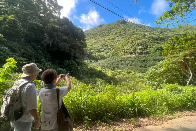 【やんばるウォーキング/約2時間】雨の日OK！やんばるの森散策コース／資格保有のガイドが解説付きでご案内♪0歳～80歳参加OK（No.239）