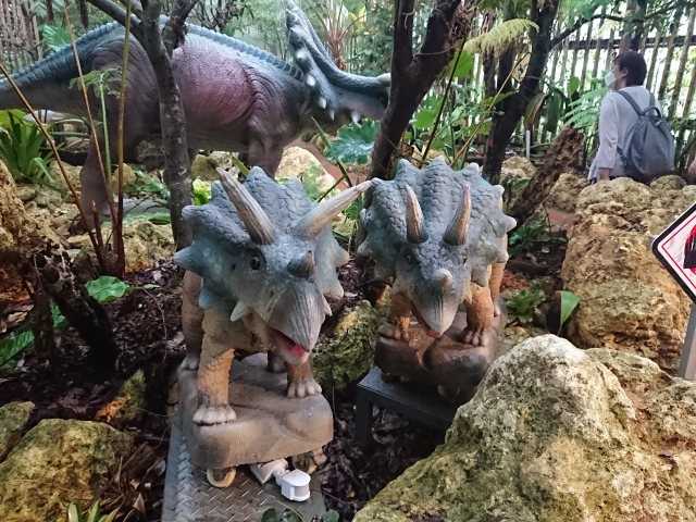 沖縄観光の穴場！「DINO恐竜PARK やんばる亜熱帯の森」とは？家族で楽しめるおすすめスポット