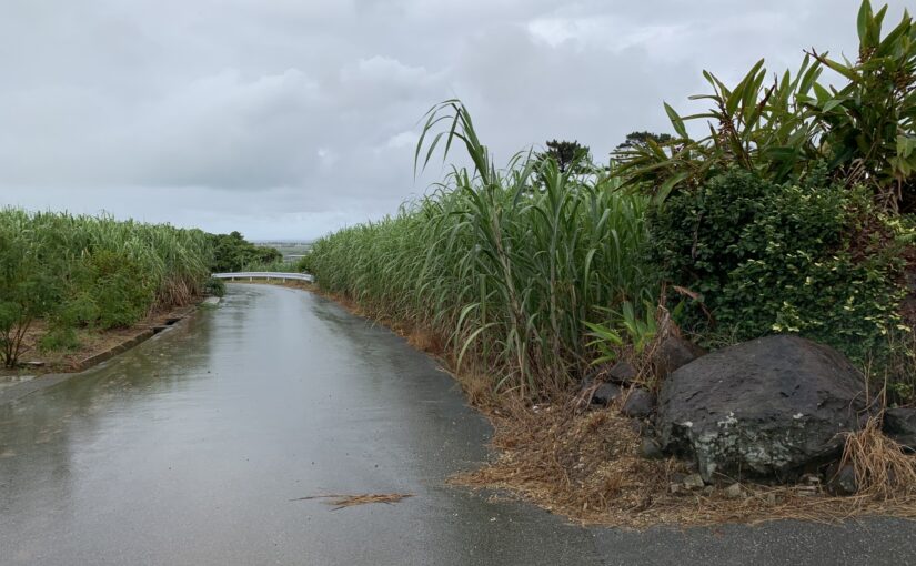 沖縄の梅雨について知っておきたいこと！梅雨入り・明けの目安や雨の日でも楽しめるアクティビティをご紹介！