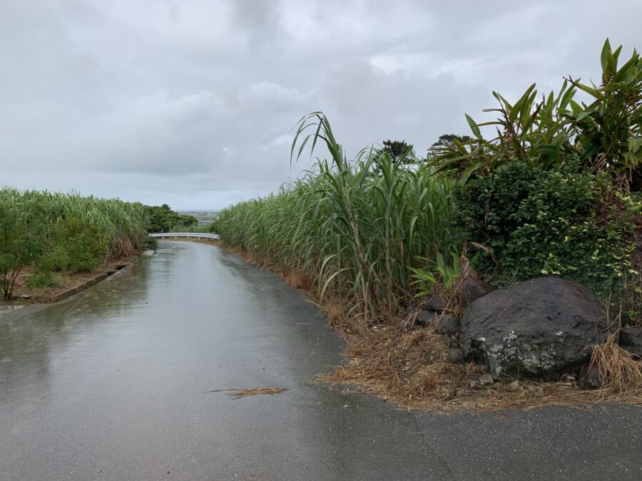 沖縄の梅雨について知っておきたいこと!梅雨入り・明けの目安や雨の日でも楽しめるアクティビティをご紹介!