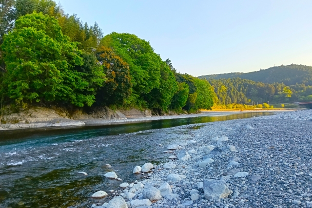 沖縄の自然を巡る大井川のマングローブ