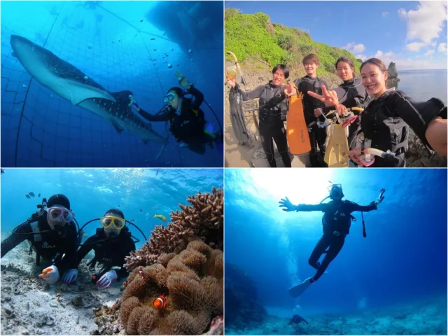 ジンベイザメ　青の洞窟　体験ダイビング