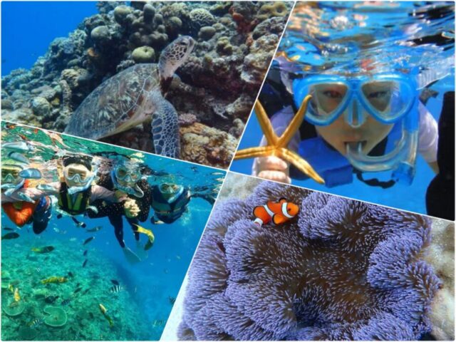 シュノーケリング