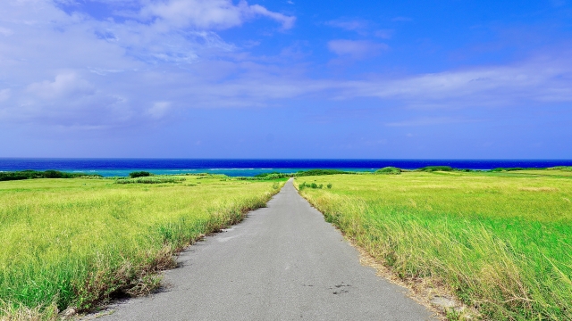伊江島ハイビスカスと湧出の神秘！自然に癒される沖縄離島の過ごし方